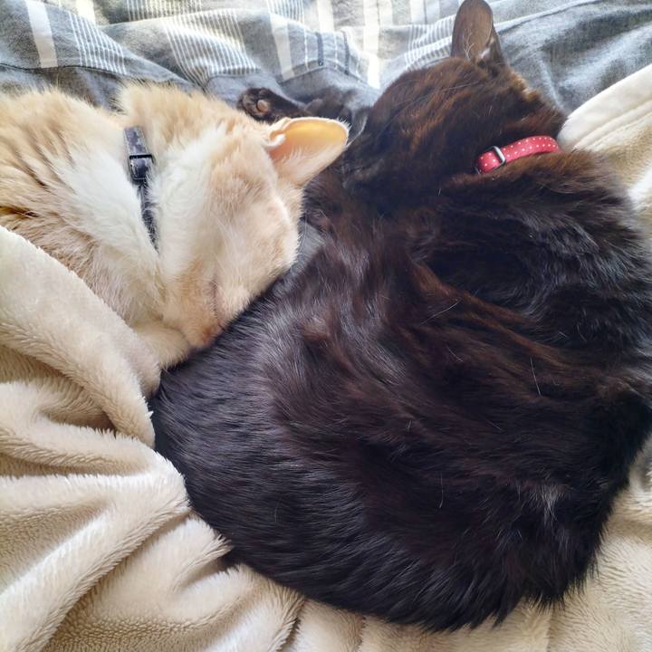 Ed9afdd5 3c4d 407c b699 5693b2c1c933 1710391359648