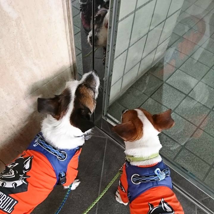 Ed9b2940 8018 415d 90ef 34b8f0b4fb1b 1585974815024