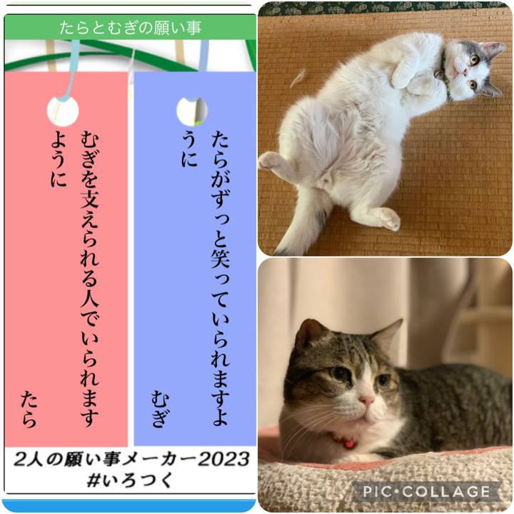 Ed9b4c53 d6fa 4314 9ae2 6699da41763c 1688735883370