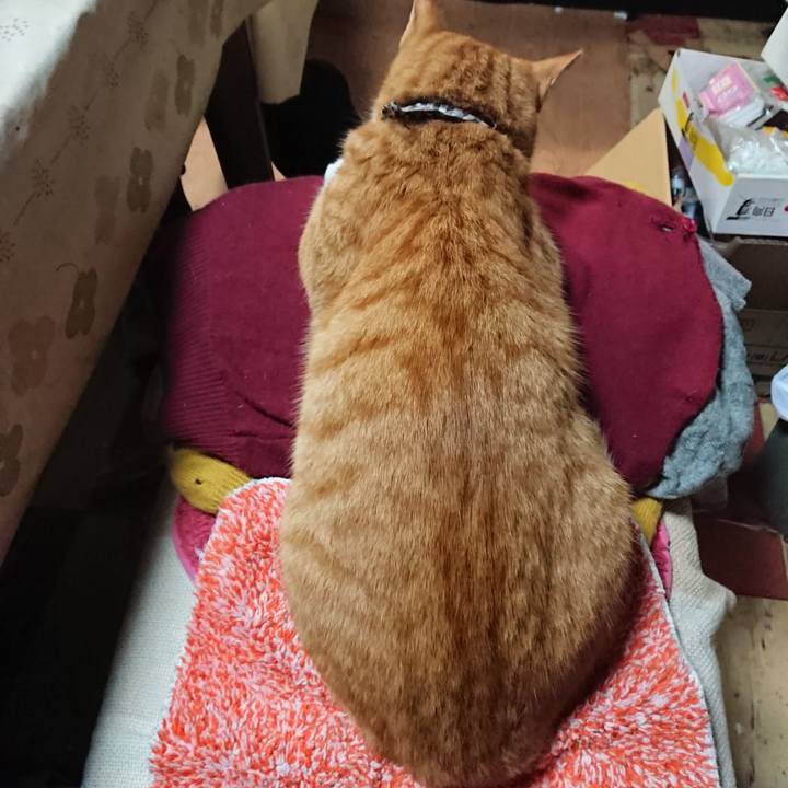 Ed9b6a74 90bd 43f0 8e9c ba95c3a37b53 1571309920864