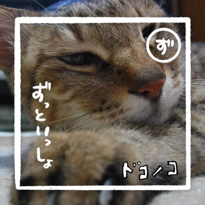 Ed9b6be9 46e3 4c38 8c52 378fbd51a9b2 1685952762247