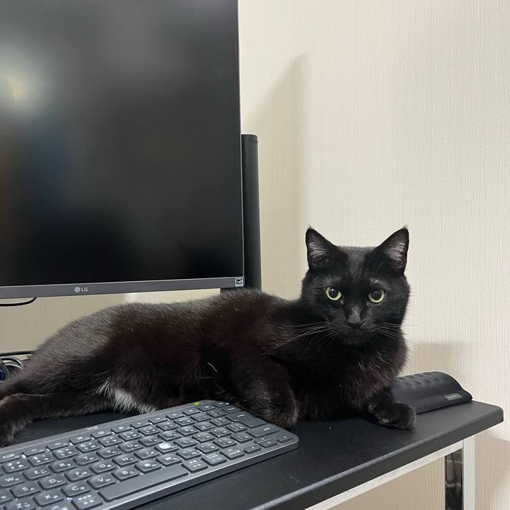 Ed9b6e6a 9f86 48b7 b9f6 6e945e695d16 1708310845778