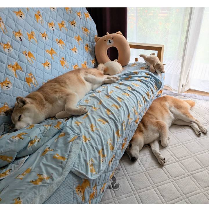 Ed9c00fd 500d 4070 ad92 93cef35849e1 1756278025744