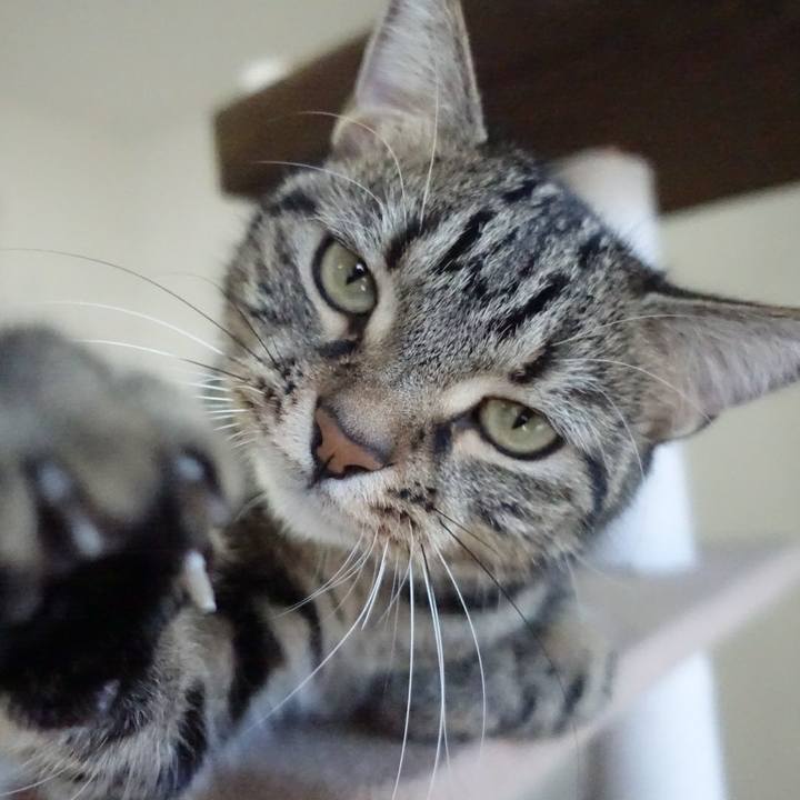 Ed9c381f 0ff8 41e0 874c 58176f86e188 1513840576208