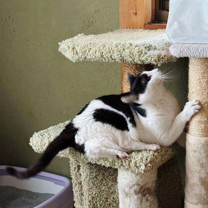 Ed9c3b23 c2b0 4953 8ba8 13ab42268ebc 1681697345111