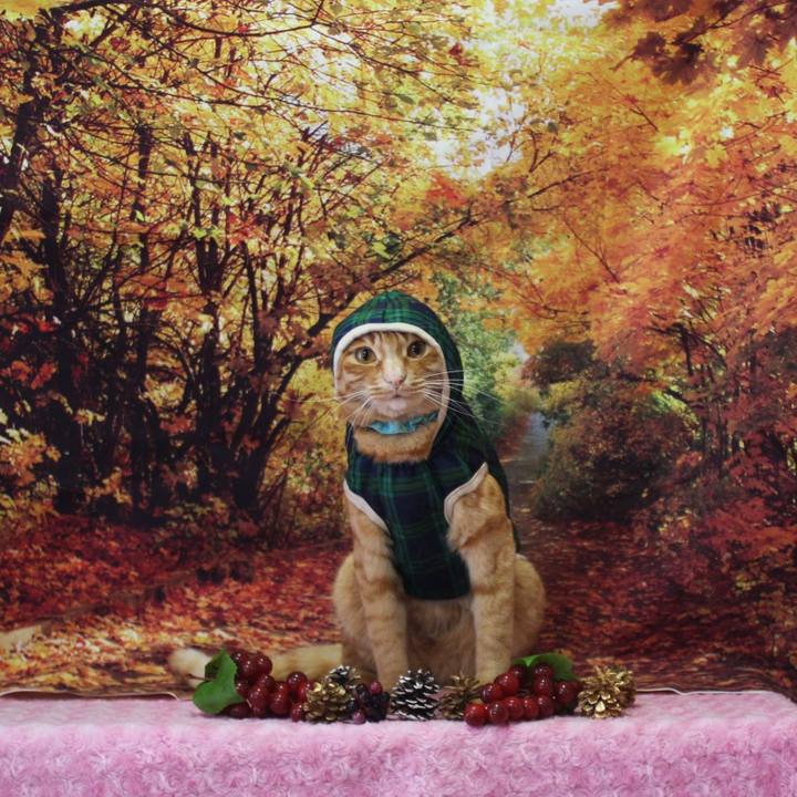 Ed9c3e1d 05fb 4ceb 97a2 b0b2e47de900 1762672957413