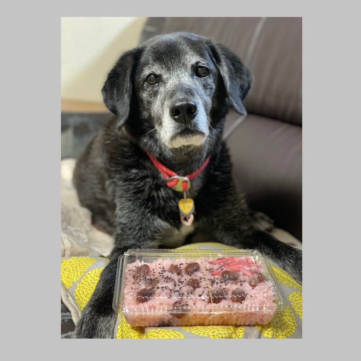 Ed9c68b4 0ec3 4cad b780 452c8b3306b0 1773654378990