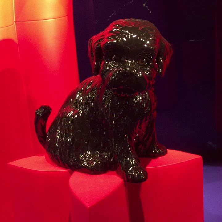 Ed9c70ed c52d 4a7e 8a85 565ccb02c795 1519167438698