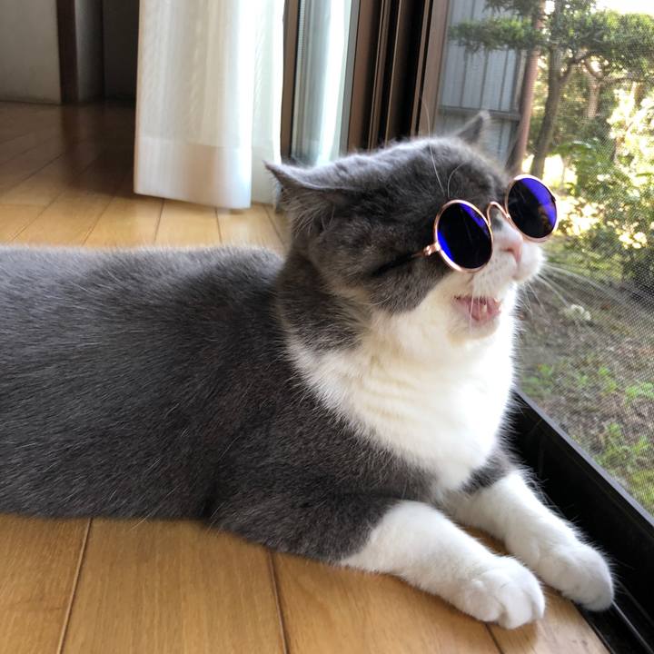 Ed9c800e ec1d 4cf6 a008 a4ecdb85f21d 1556948161601