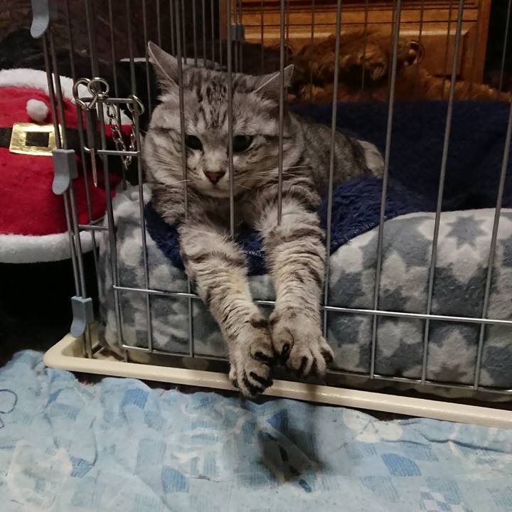 Ed9ca47a a926 48c6 b126 547990c4d790 1515117095541