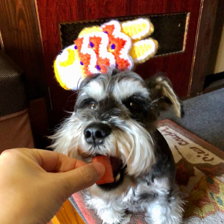 Ed9cad04 78f8 442a 96d5 4abd0fb43a65 1651713118803