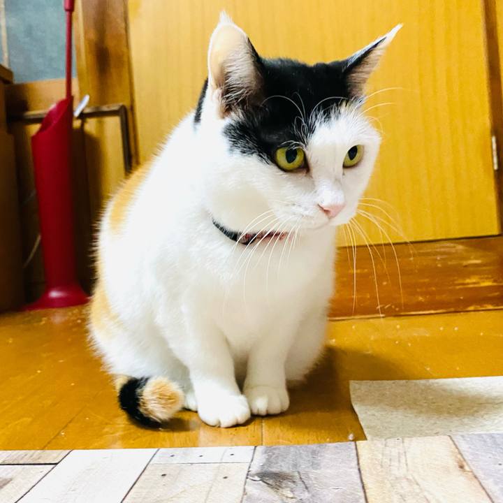 Ed9cb0e2 8654 4d1e 9a43 94de8742454e 1702803807925