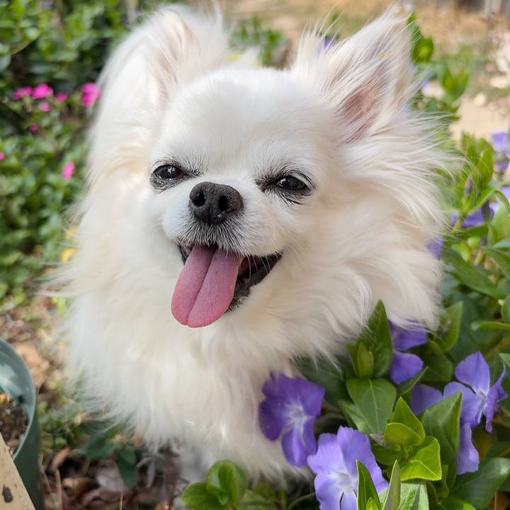 Ed9d04da 378f 4c61 9e12 26572e65e0ab 1774012123762