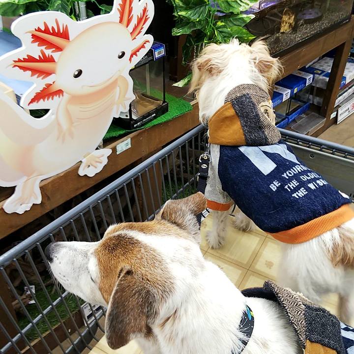 Ed9d3345 2a4a 4711 ba27 7a8205b4f2a9 1552116706593