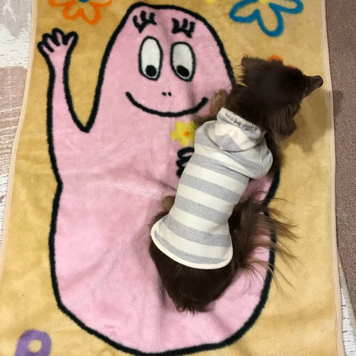 Ed9d3ee2 00b1 45b4 84f1 2f986045cd0e 1514473577419