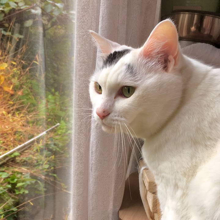 Ed9d6d89 a562 492d 9478 353e7353a4a6 1571898308080