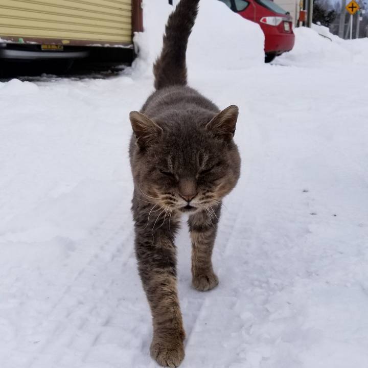 Ed9d7d29 3cc6 492b a9d1 6e5fdf7176c3 1548633587231