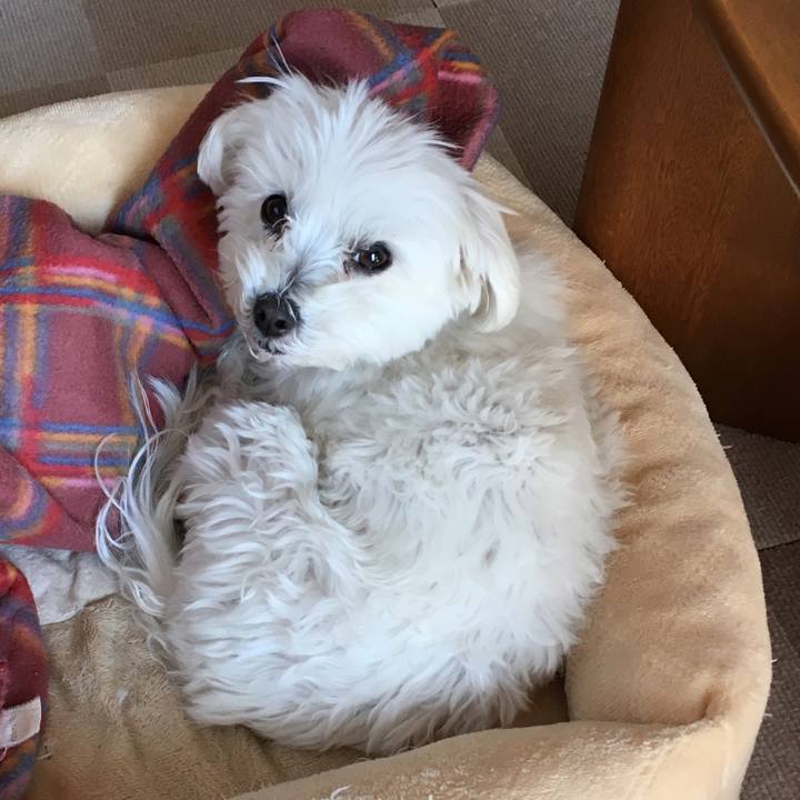 Ed9db60a 9389 47f7 8fd7 f3f97c4e3085 1552878610722