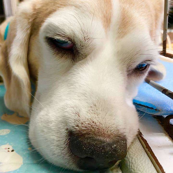 Ed9dc89f 5b96 4d5b 8a4a e2a8bbfac9b2 1626755302949