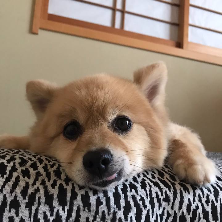 Ed9dfabc 2c1c 4166 8ab3 d5cec0b3aa06 1596108558172