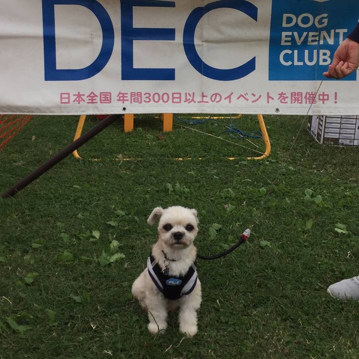 Ed9e0c7e 5ff6 406c b074 afc46ed445ab 1539510886397