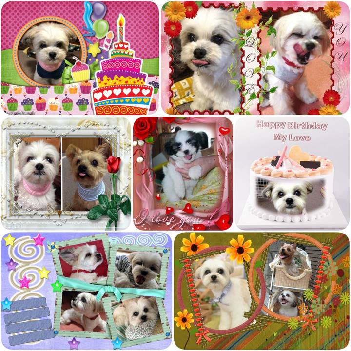 Ed9e2d40 0eb0 4b96 893d b6d137d455e2 1626726091205