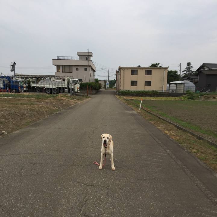 Ed9e3ab8 9ca2 48e2 a9af 7b1b7d6a7cdd 1530007338646