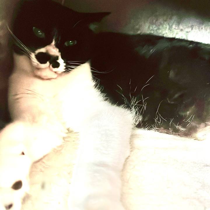 Ed9e7efb 48bc 4ab7 ae32 c5139e73015b 1677719797179