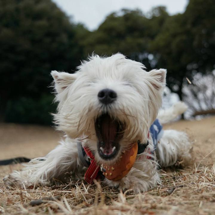 Ed9ed738 e217 4de9 b0e1 74ee0567ee86 1516187706935