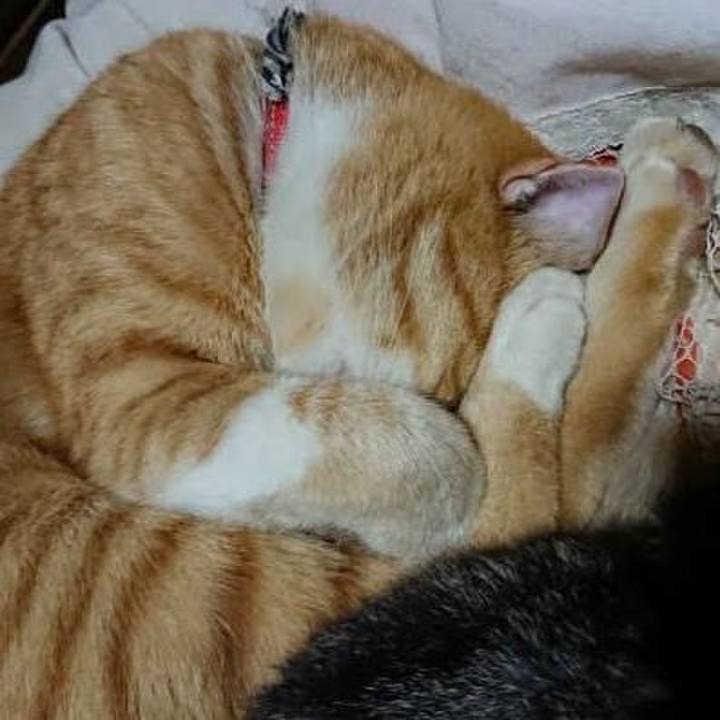 Ed9f0b58 f569 4247 ae51 0f0652ba27cf 1574082645338