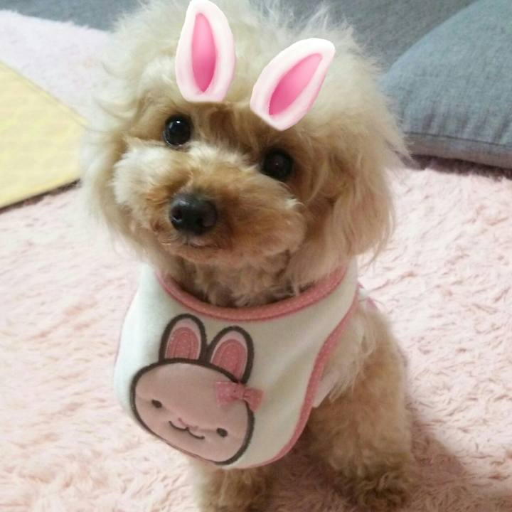 Ed9f0ded c848 4282 b887 e6076508f3ed 1559210406507