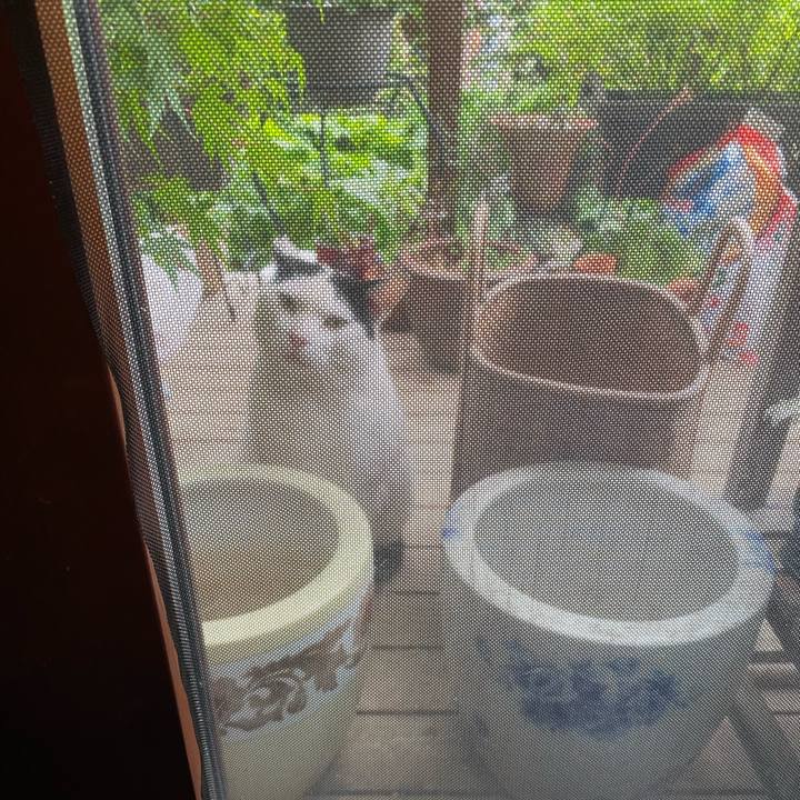 Ed9f2851 9419 43a0 947c 54ec8bde21ae 1624070808553