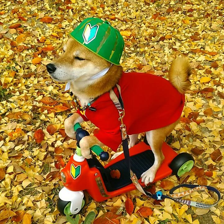 Ed9f6e94 4d0a 4060 8380 94845337c1fb 1574403792262