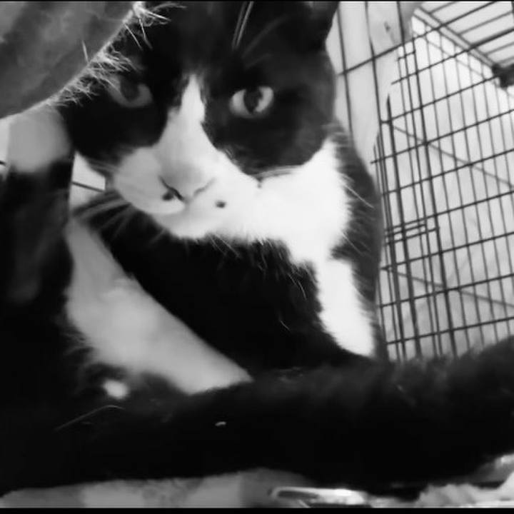 Ed9fbc9c e195 4d0a aca5 1252c9a637ae 1750499015394