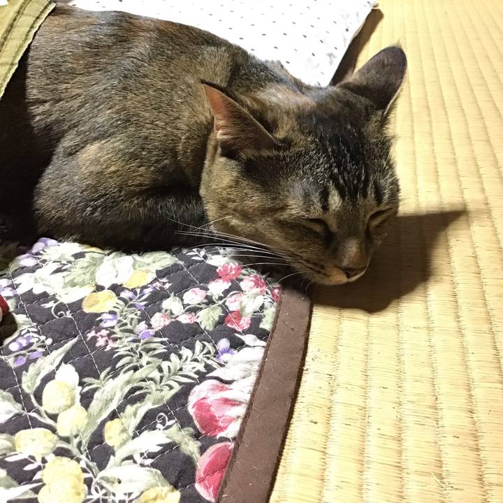 Ed9fe192 436e 4d35 b5dd f2d0bbede3aa 1635244158789