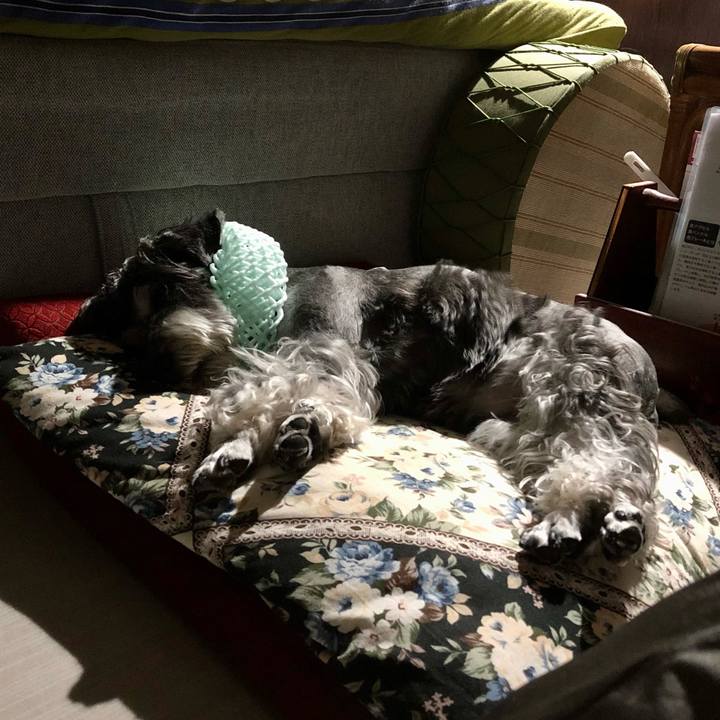 Eda01bdf a73e 489f 96dc c55fb21a9385 1660836699608