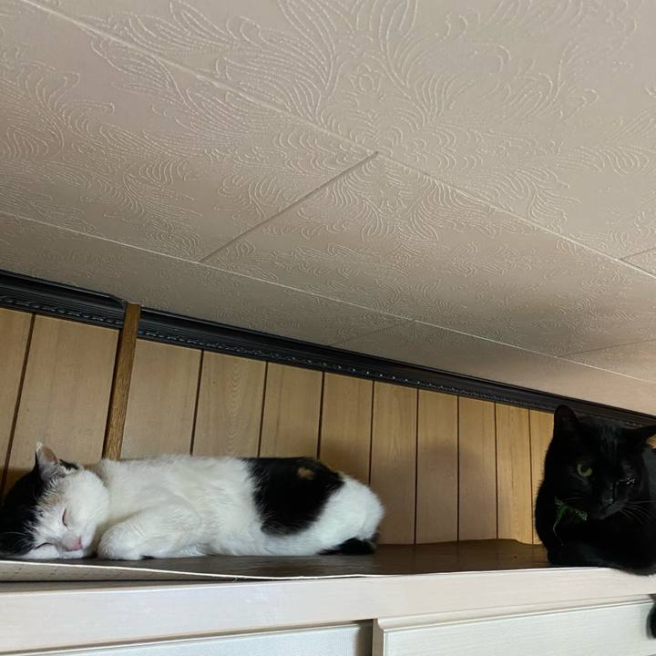 Eda0432c 804f 4658 9121 dcf550a8c3ab 1648910885008