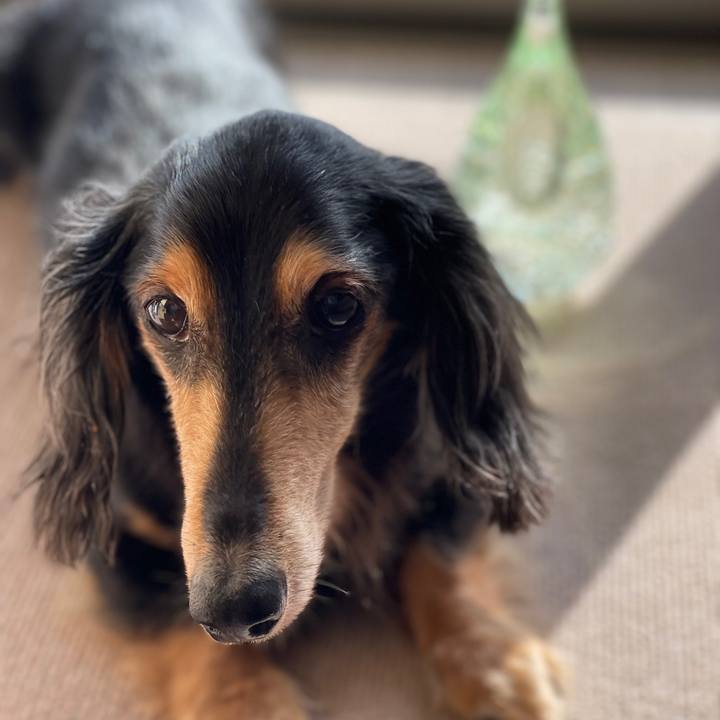 Eda060c1 693f 458c 8981 4e5d940211c6 1699803274975