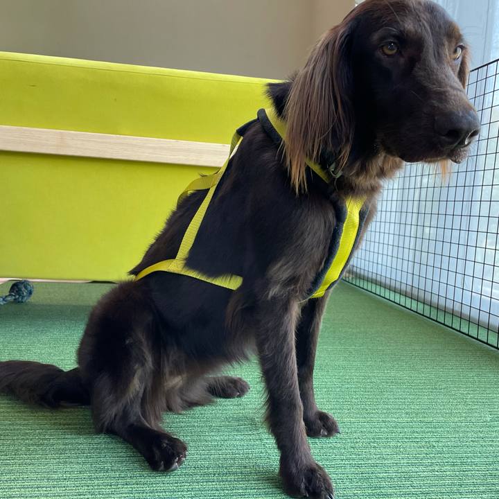 Eda07490 9316 411c bd8f 9b6031a7f063 1618709977419