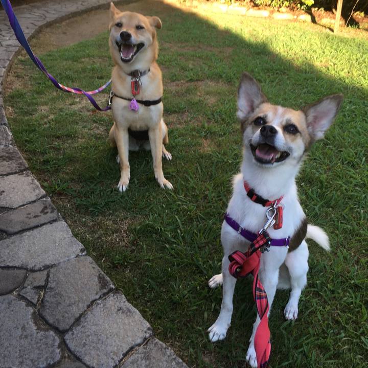 Eda07d53 a553 4f64 bd7b e1aee983dc63 1565390402905