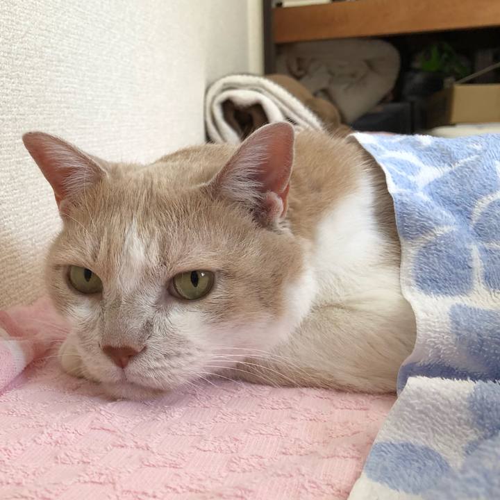 Eda08ca9 2378 48c6 bce4 fcd33127c406 1565607243486