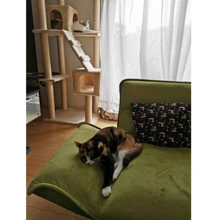 Eda08f97 a309 4881 96e4 c3afb2686d6d 1630147736405