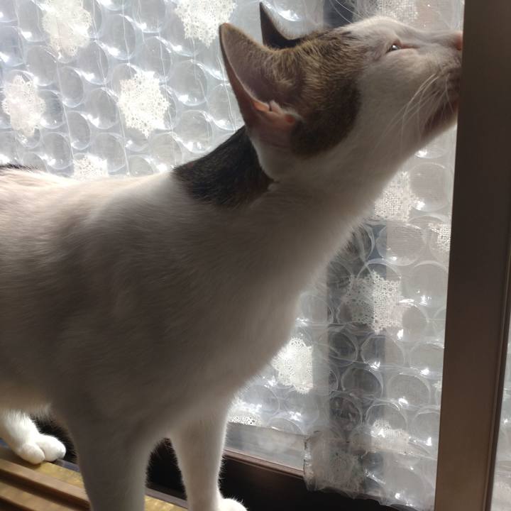 Eda0c006 68b5 4311 8de3 2b51d0d136c6 1714711913394