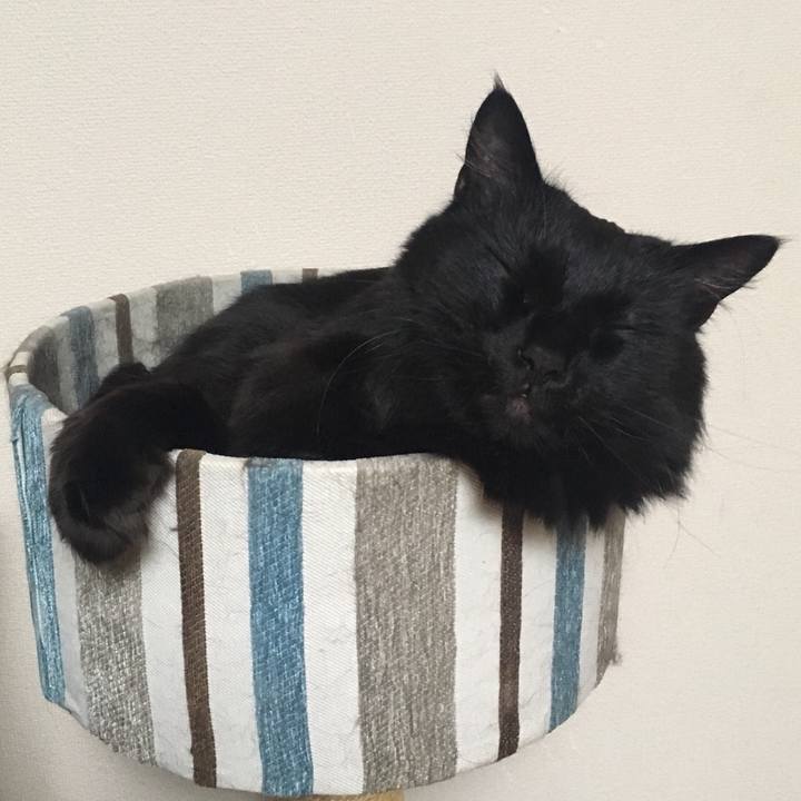 Eda0c1ea a716 4944 a9f1 8fdab02f4a24 1525009337710