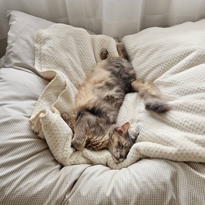 Eda0da78 e5ee 4431 afc7 70fd6945e626 1744594624074