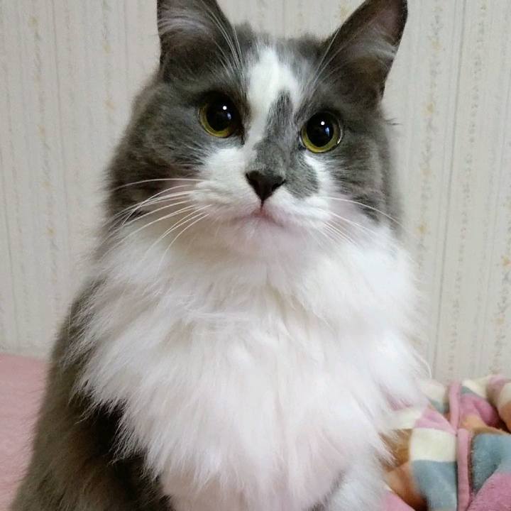 Eda11038 a6aa 4173 9b27 63307d59626a 1587162776928