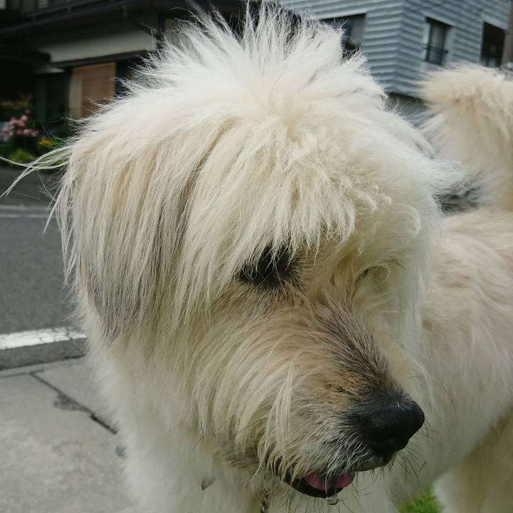 Eda1476b 9884 4a8a b5a2 ba0d4a1498b2 1561800102798