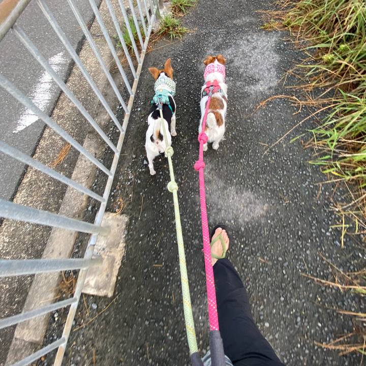 Eda156d2 3153 408e 822d acdc2c56dd45 1754604323337