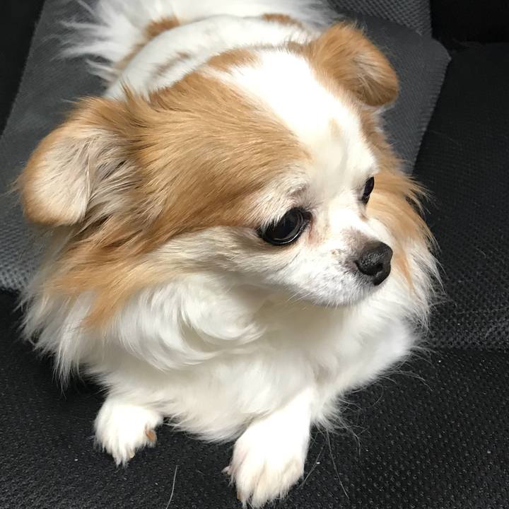 Eda15c9f 761d 4678 9023 df504cfcd279 1569931504033