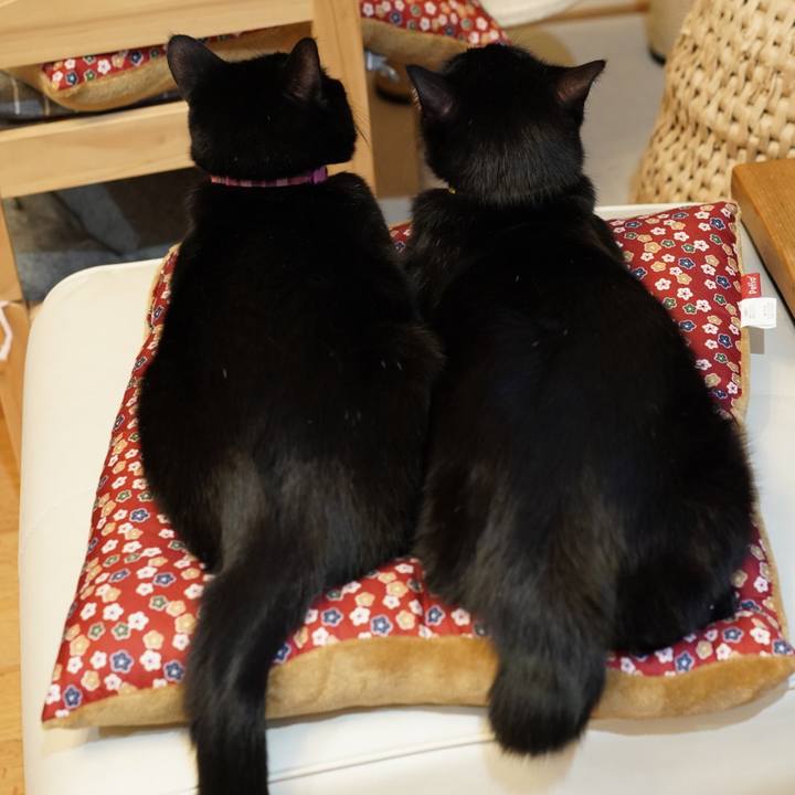 Eda161b9 9898 4e14 a21e 33649d55cae8 1576934651575